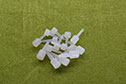 5-SP(T型錐塞)-實物1-(2)